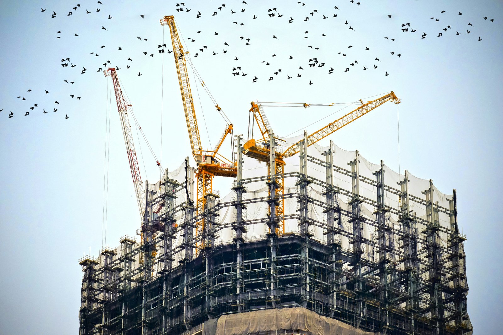 Real Estate Development